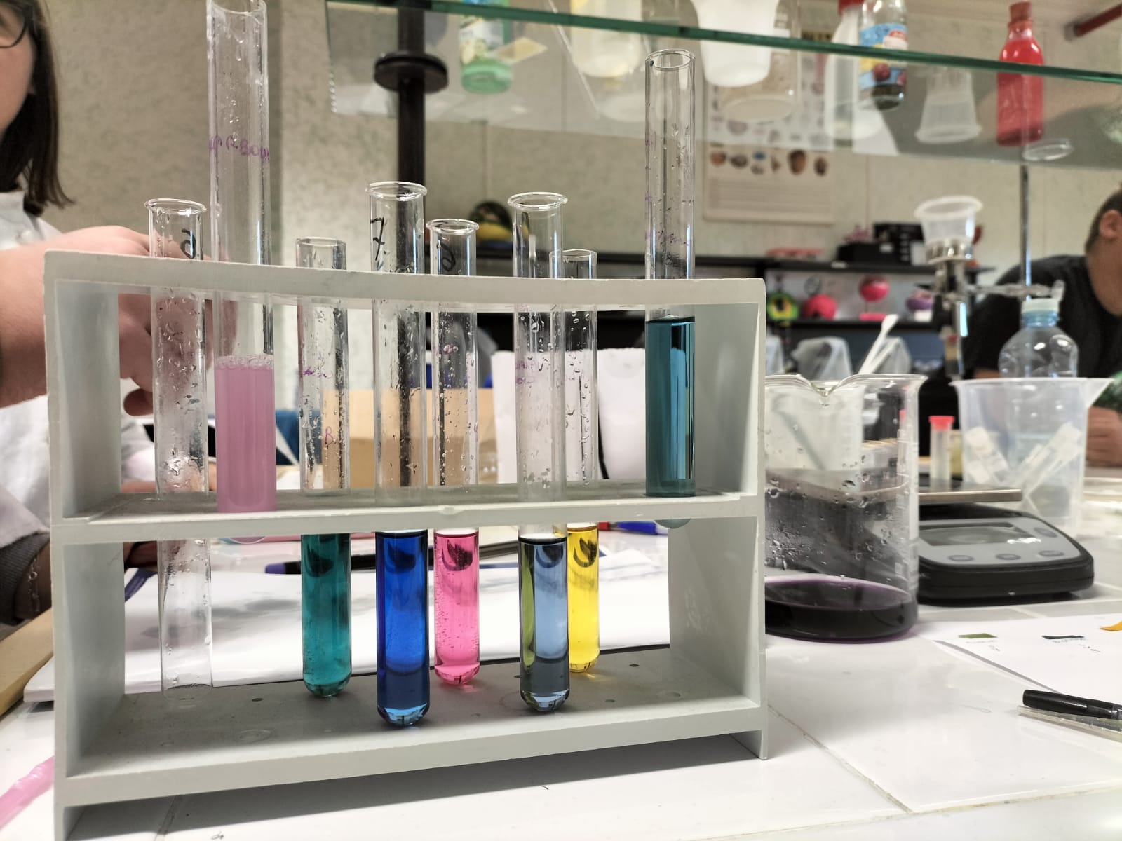 WhatsApp Image 2025 12 11 at 12.35.07